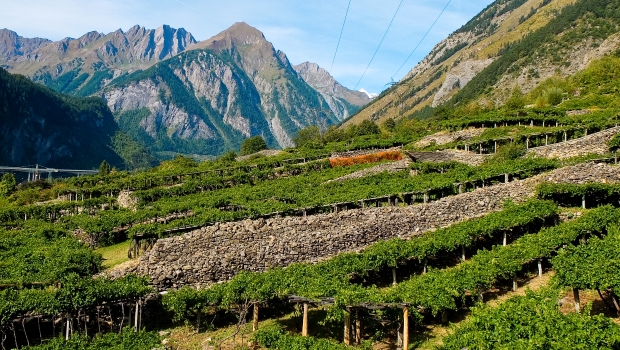 Aostatal